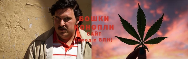 бошки Козельск