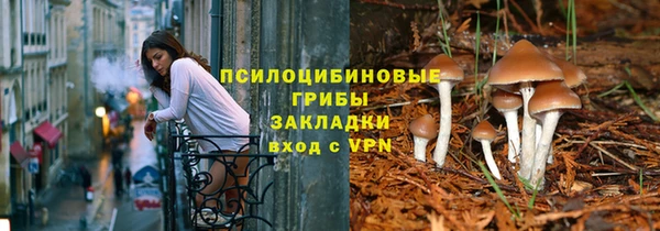 бошки Козельск