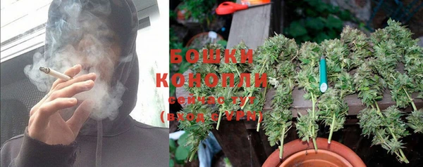 бошки Козельск