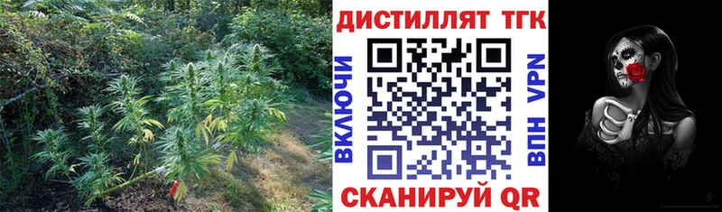 Купить  Мантурово  Дистиллят ТГК гашишное масло 
